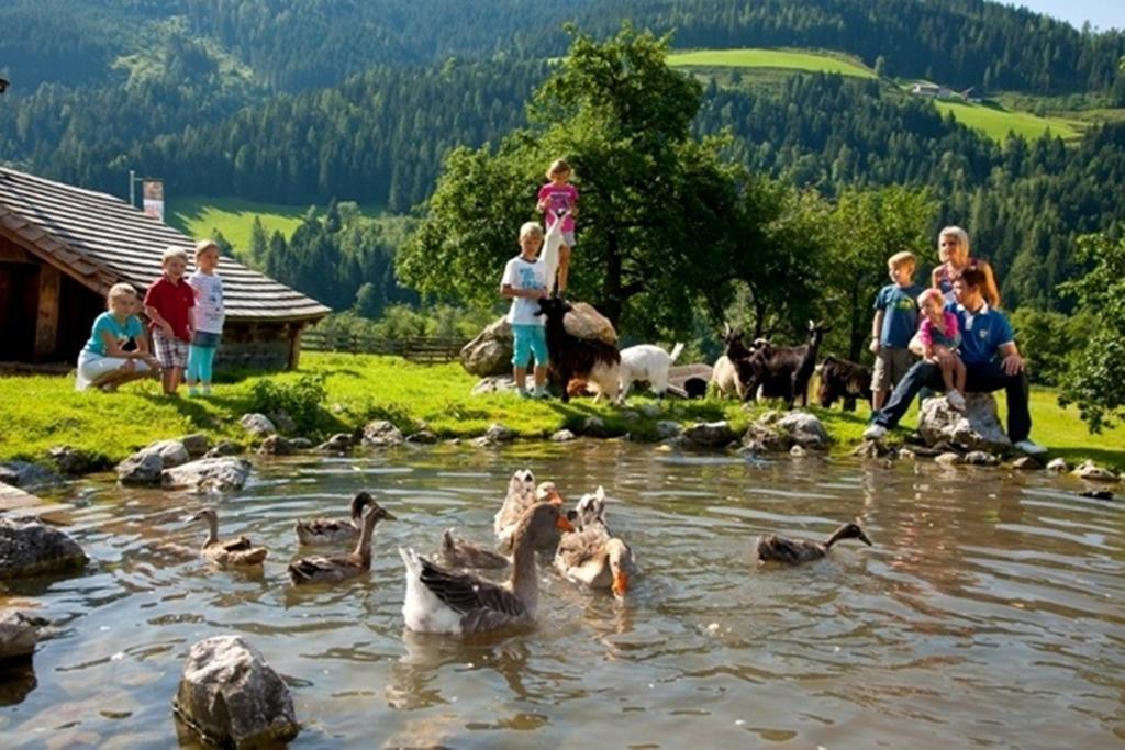 Hotel Alpenrose Muehlbach Am Hochkoenig Экстерьер фото