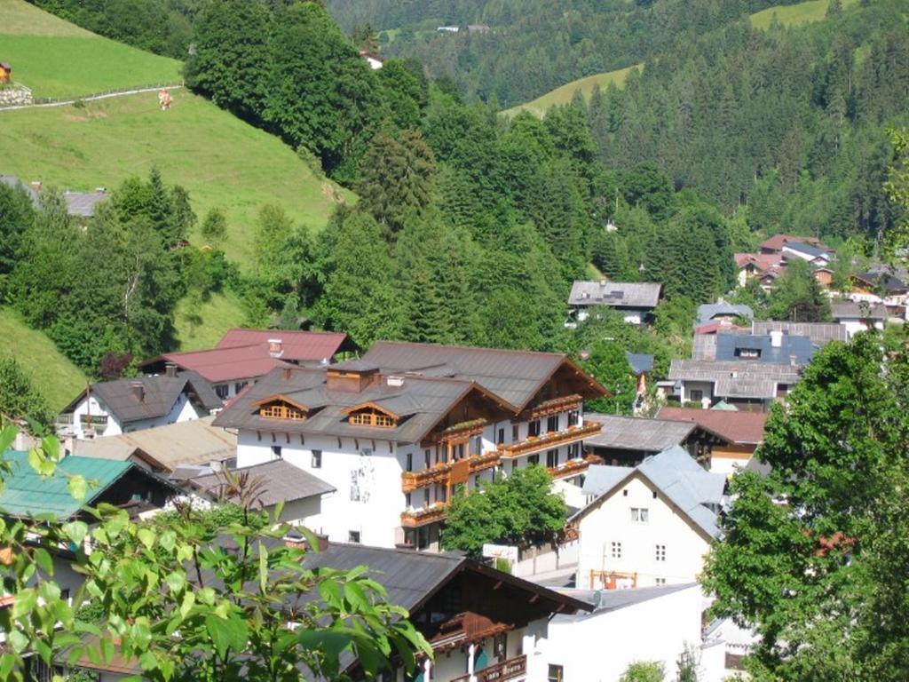 Hotel Alpenrose Muehlbach Am Hochkoenig Экстерьер фото